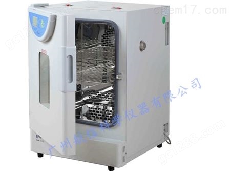 上海一恒DHG-9015A 300℃鼓风干燥箱 灭菌箱