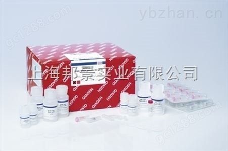 小鼠白介素12Belisa检测试剂盒价格